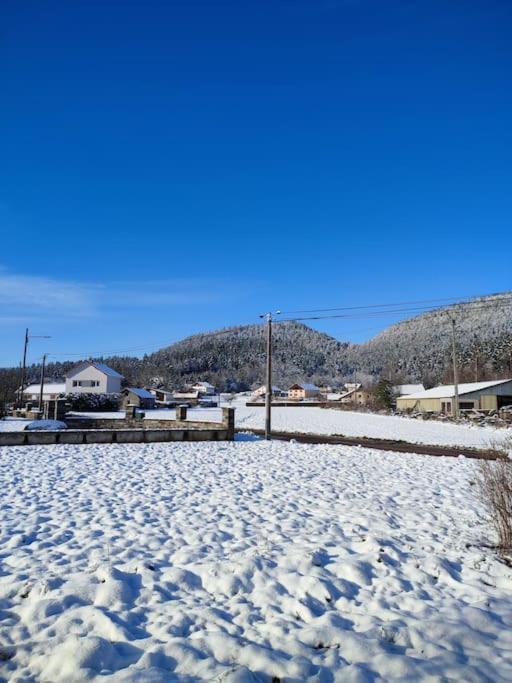 Gite Cosy Avec Avec Jardin Et Parking Privatifs - Hautes Vosges Saint-Amé エクステリア 写真