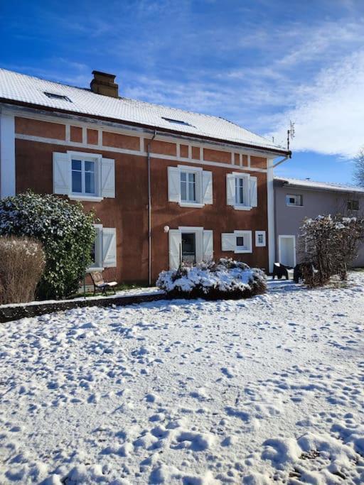 Gite Cosy Avec Avec Jardin Et Parking Privatifs - Hautes Vosges Saint-Amé エクステリア 写真