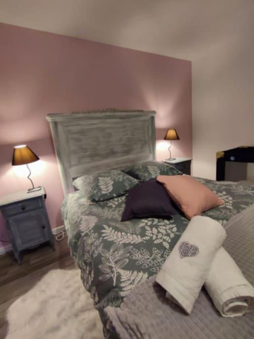 Gite Cosy Avec Avec Jardin Et Parking Privatifs - Hautes Vosges Saint-Amé エクステリア 写真