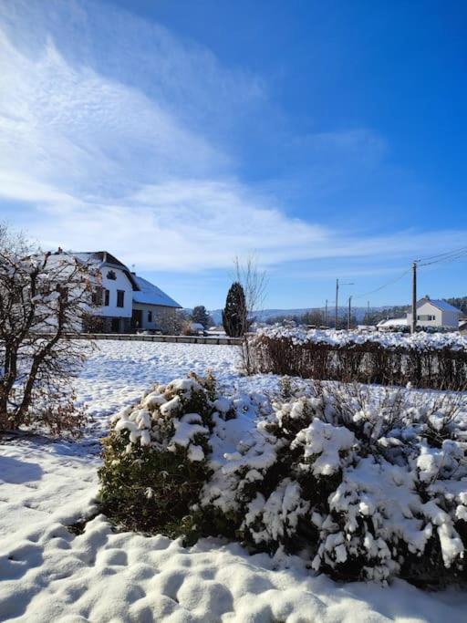 Gite Cosy Avec Avec Jardin Et Parking Privatifs - Hautes Vosges Saint-Amé エクステリア 写真